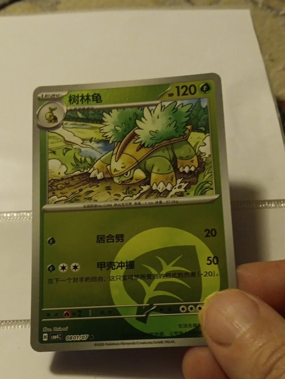 Pokemon Turtwig Trading Card - Green